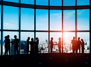 Listados profesionales