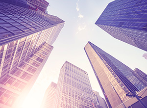 Ofertas de empleo y licitaciones