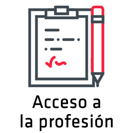 Acceso a la profesin