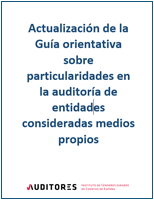 Actualizacin de la Gua orientativa sobre particularidades en la auditora de entidades consideradas medios propios