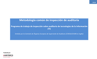 Gua sobre Metodologa comn de inspeccin: programa de trabajo de auditoria TI a nivel de encargo (COESA-Septiembre2023)_ES