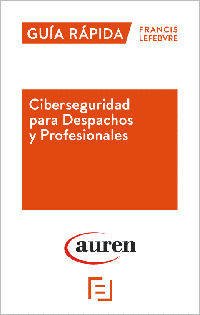 Ciberseguridad para despachos y profesionales