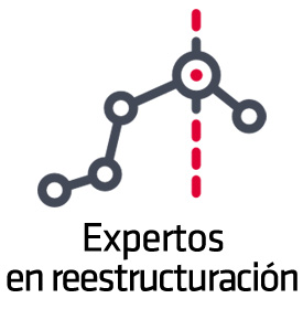 Expertos en reestructuracin