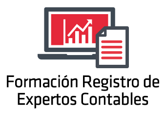 Formacin Registro de Expertos Contables