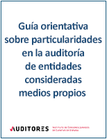 Gua orientativa sobre particularidades en la auditora de entidades consideradas medios propios