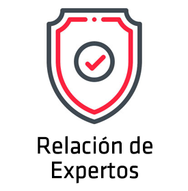 Relacin de Expertos