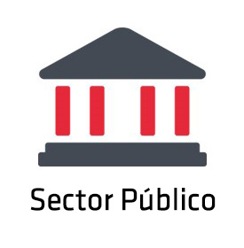Sector Público